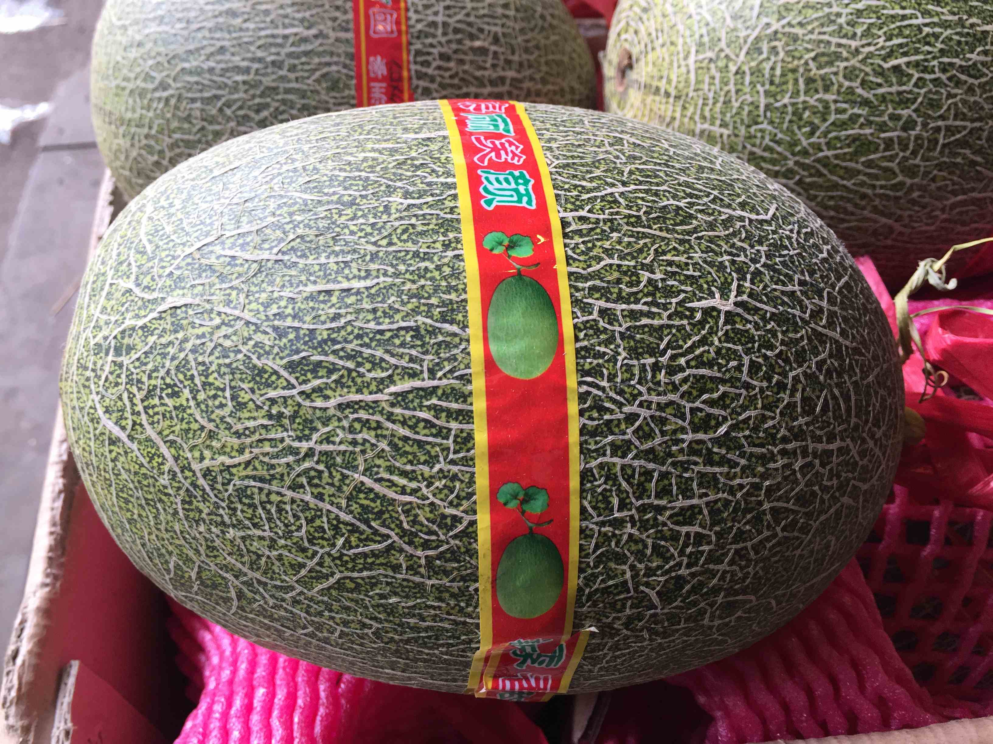 西州蜜（哈密瓜）