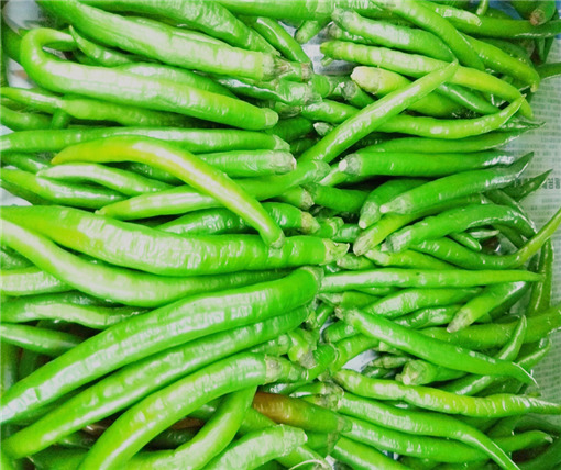 小青椒