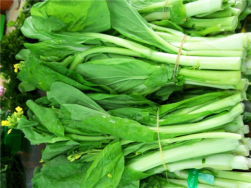 白菜心