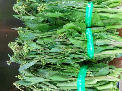 油菜心
