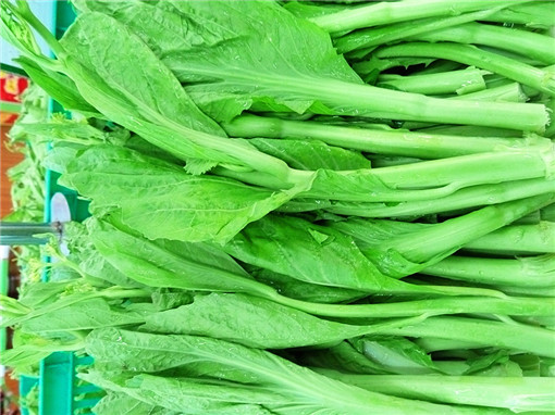 芥菜心