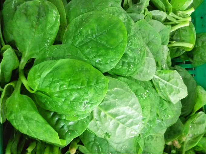 豆腐菜