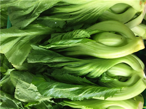 泡菜
