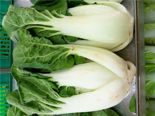 奶白菜
