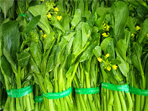 生菜
