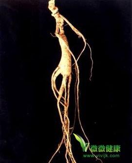 哪些人不能食用人参？